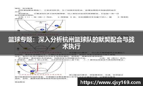 篮球专题：深入分析杭州篮球队的默契配合与战术执行